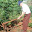 photo.jpg