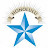 Star-Advertiser