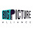 BigPictureAlliance